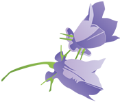 logo-bg